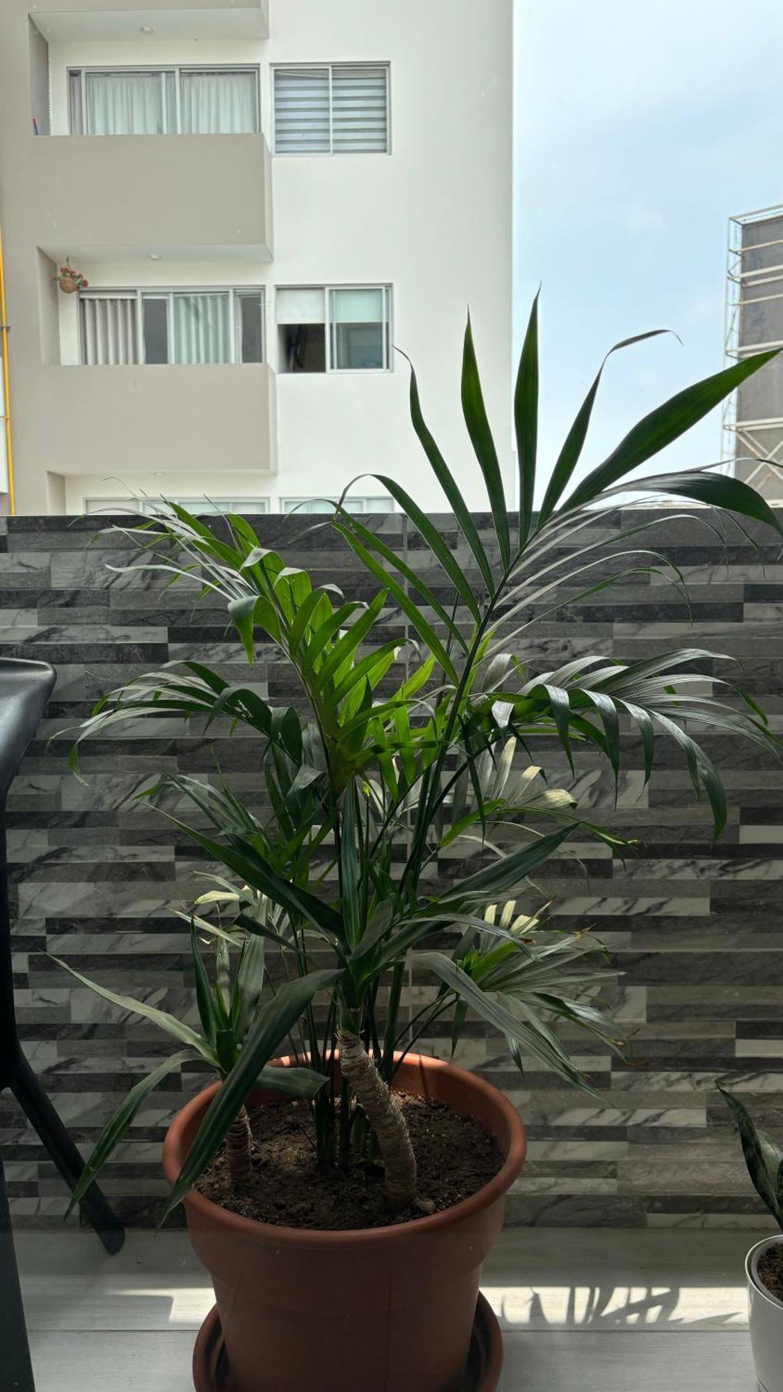 Departamento En Miraflores Con Surquillo *